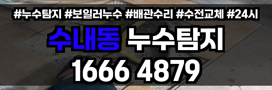 수내동 누수탐지