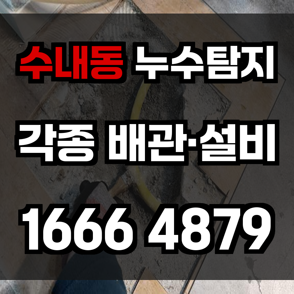 수내동 누수탐지