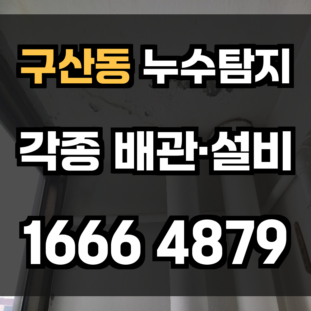 구산동 누수탐지