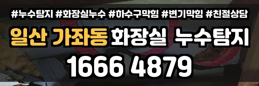 일산 가좌동 화장실 누수