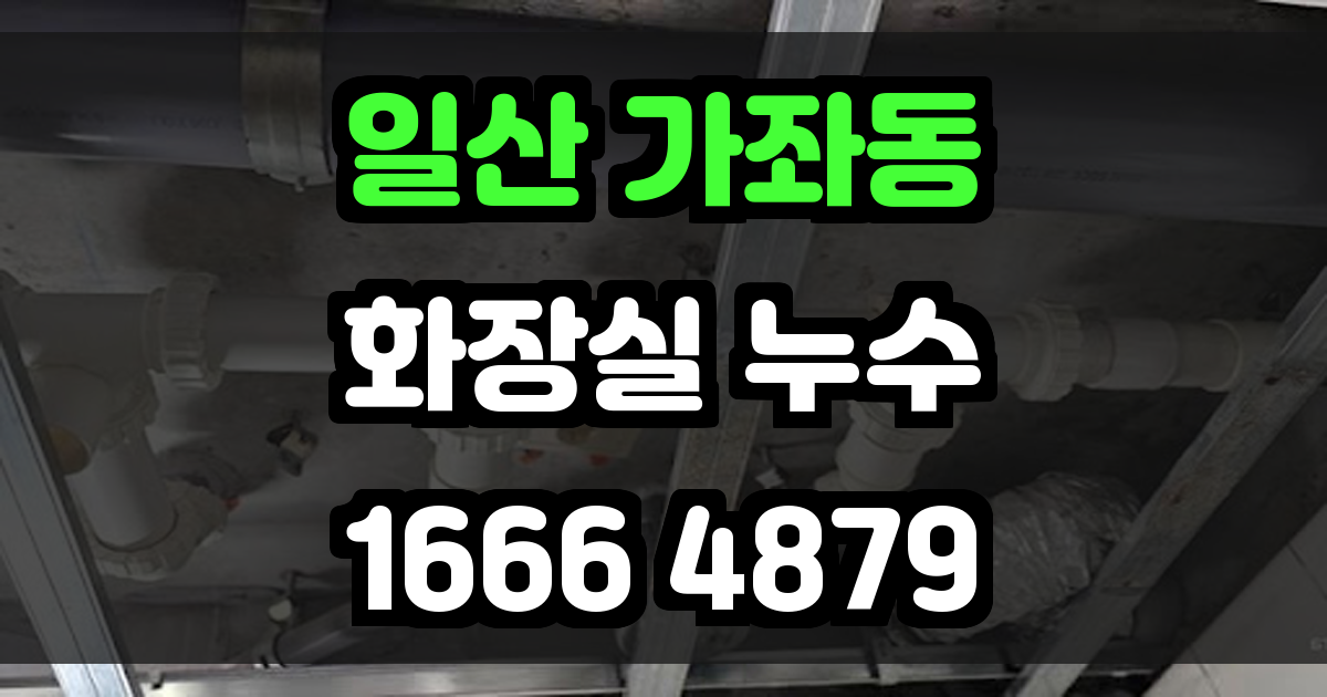 일산 가좌동 화장실 누수