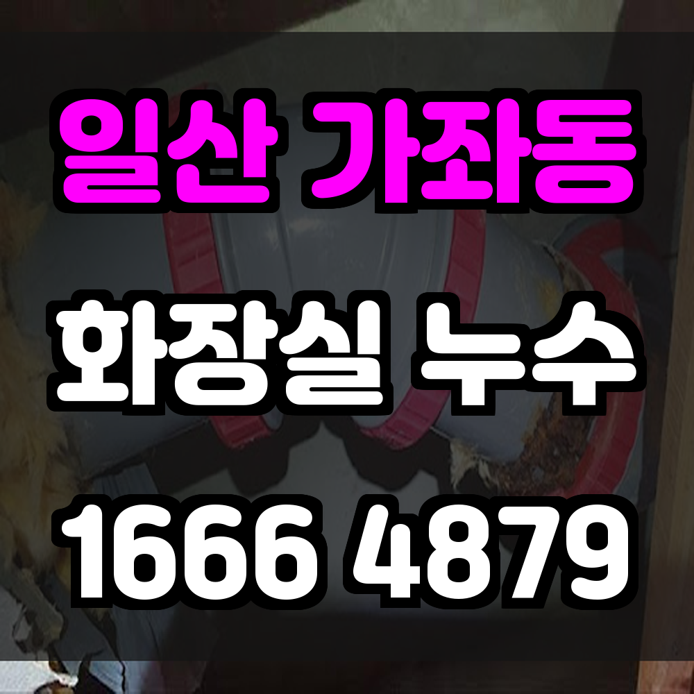 일산 가좌동 화장실 누수