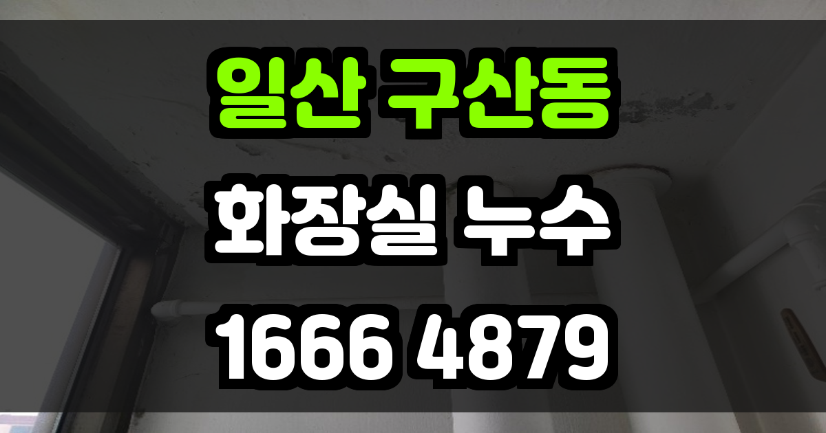 일산 구산동 화장실 누수