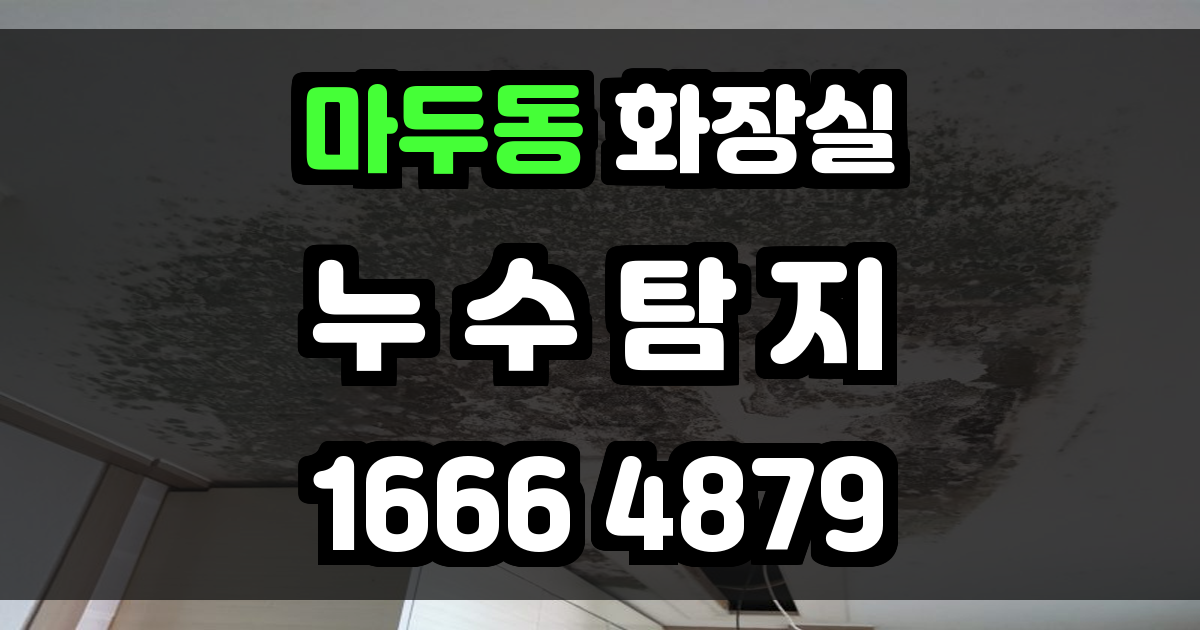 마두동 화장실 누수