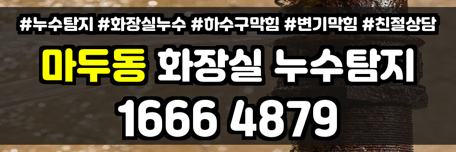 마두동 화장실 누수