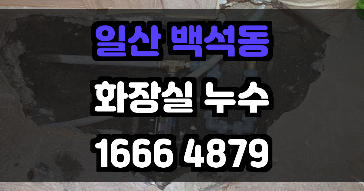 일산 백석동 화장실 누수