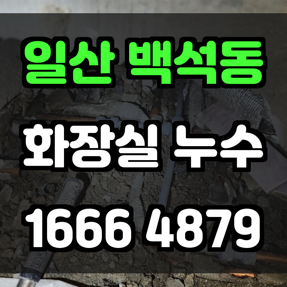 일산 백석동 화장실 누수