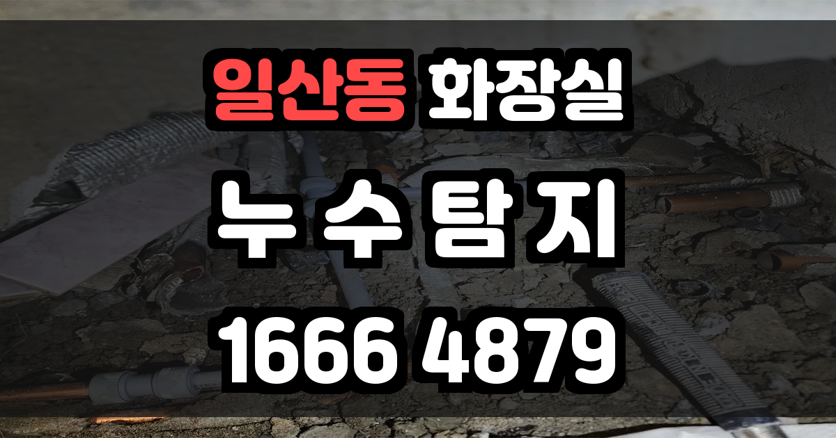 일산동 화장실 누수
