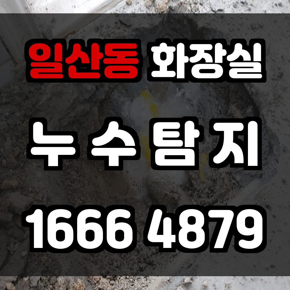 일산동 화장실 누수