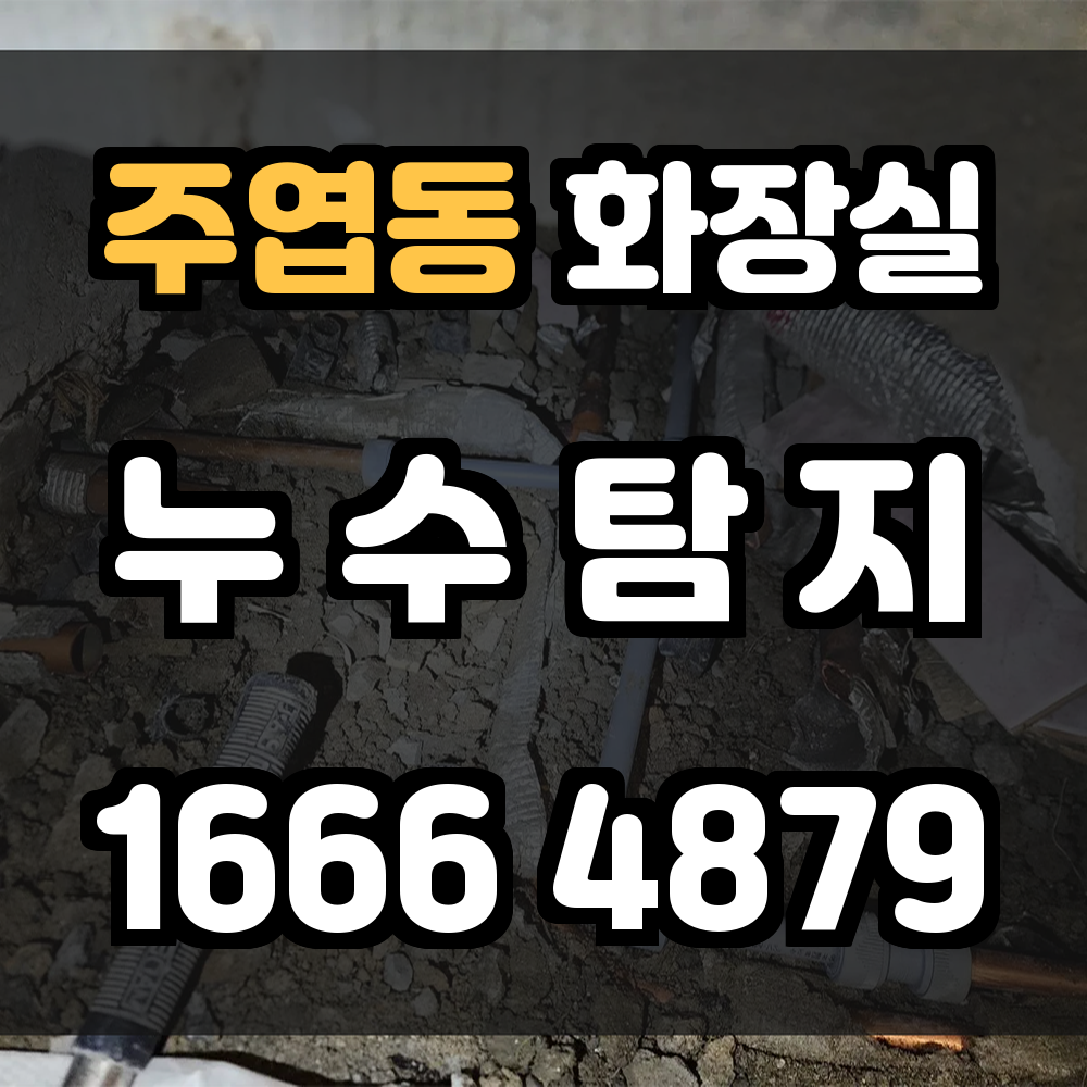 주엽동 화장실 누수탐지 조용하고 정확한 정밀 탐지 서비스