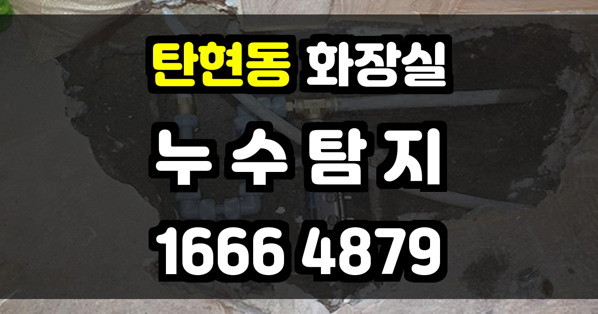 탄현동 화장실 누수