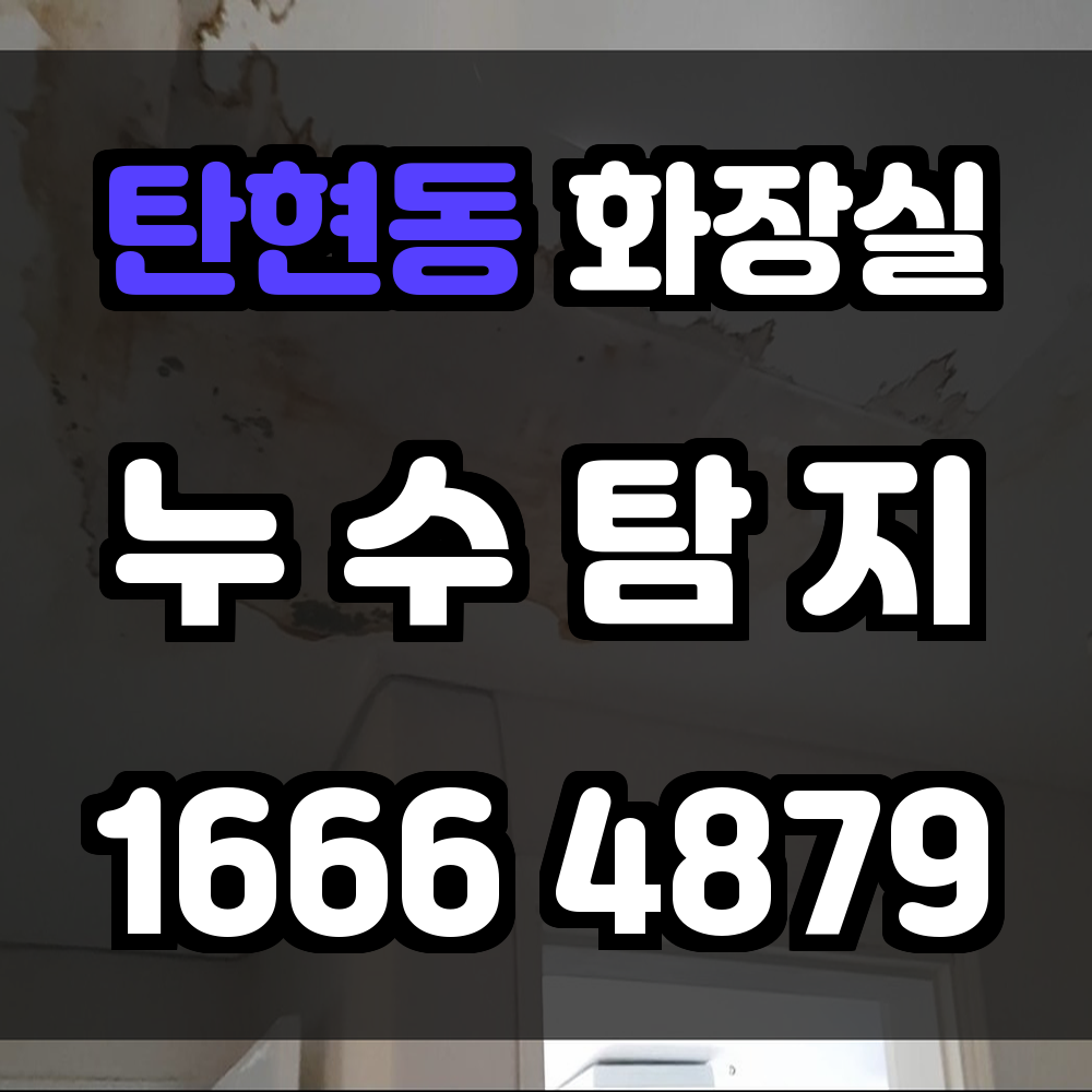 탄현동 화장실 누수탐지 안전한 주거를 위한 정밀 누수 진단