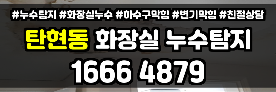 탄현동 화장실 누수