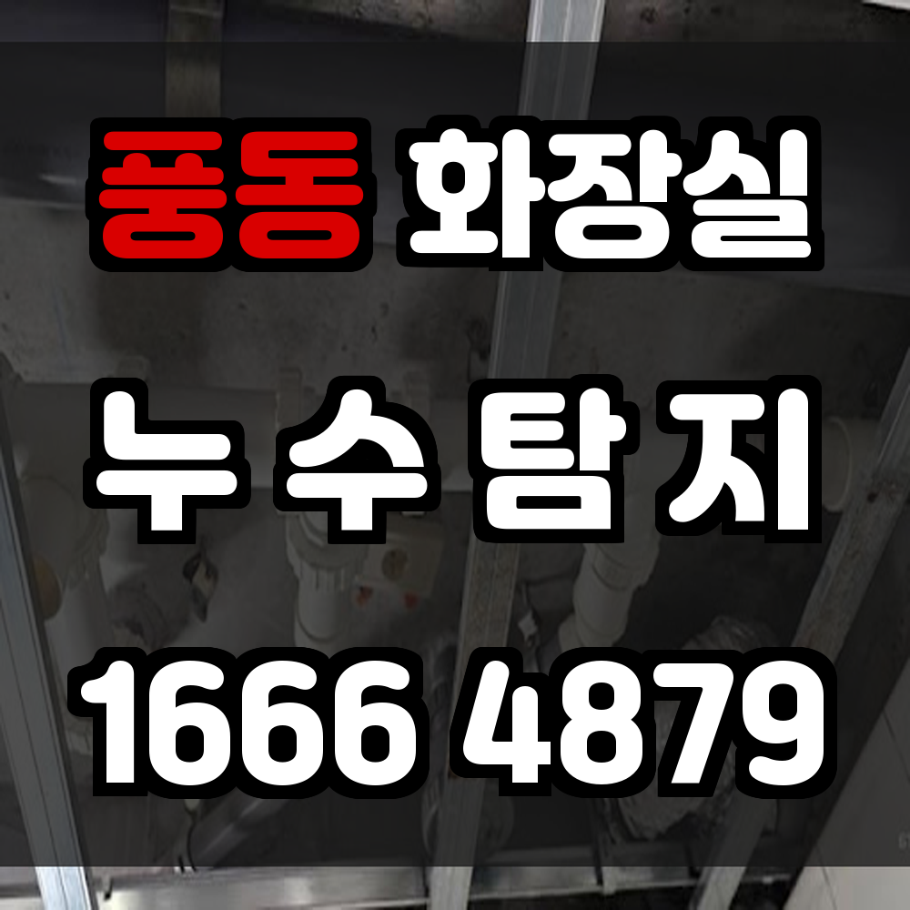 풍동 화장실 누수탐지 빠르고 정확한 점검으로 문제를 사전에 예방
