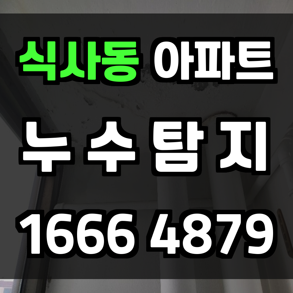 식사동 아파트 누수탐지 원인부터 해결까지 책임감 있는 대응