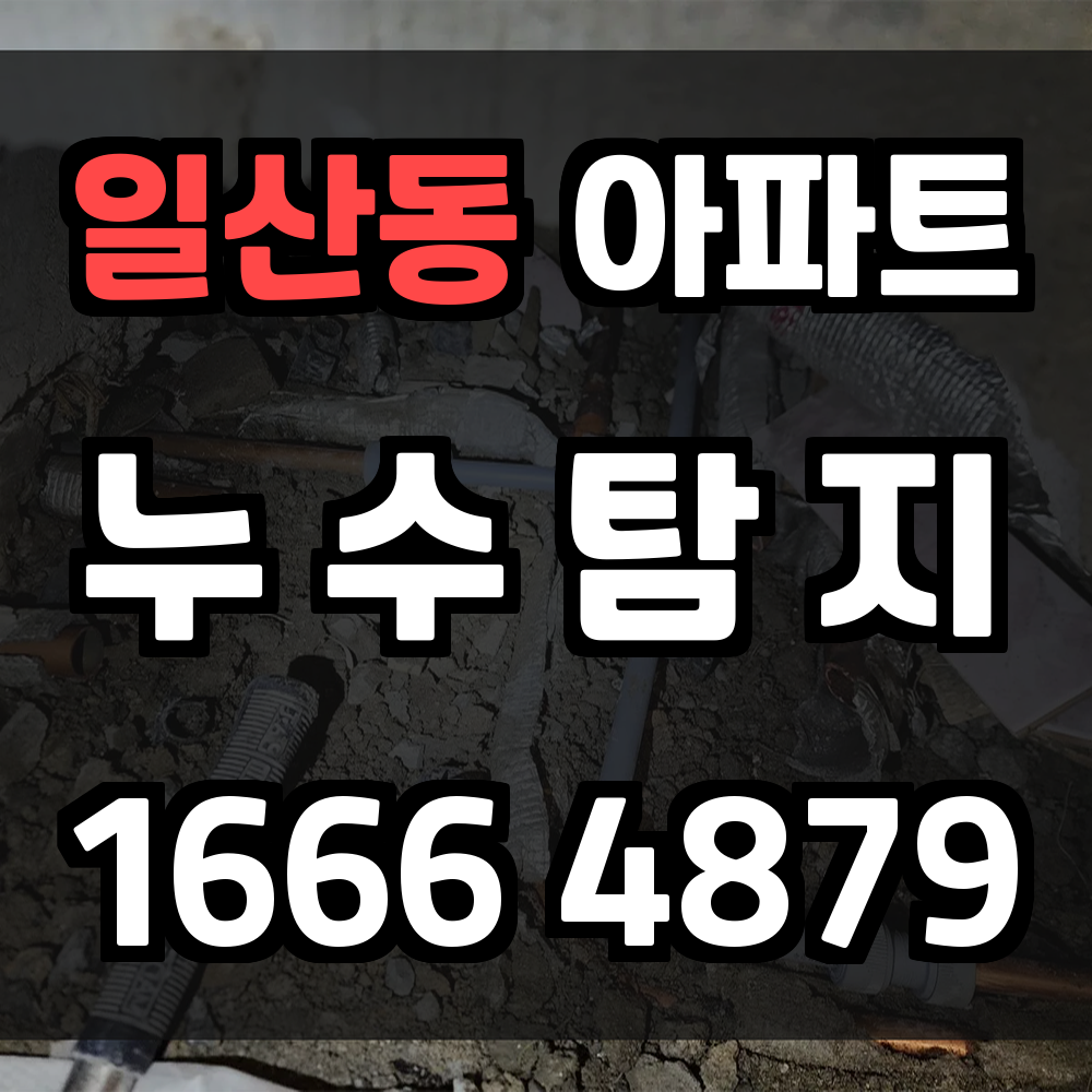 일산동 아파트 누수탐지 보이지 않는 누수도 정확히 진단