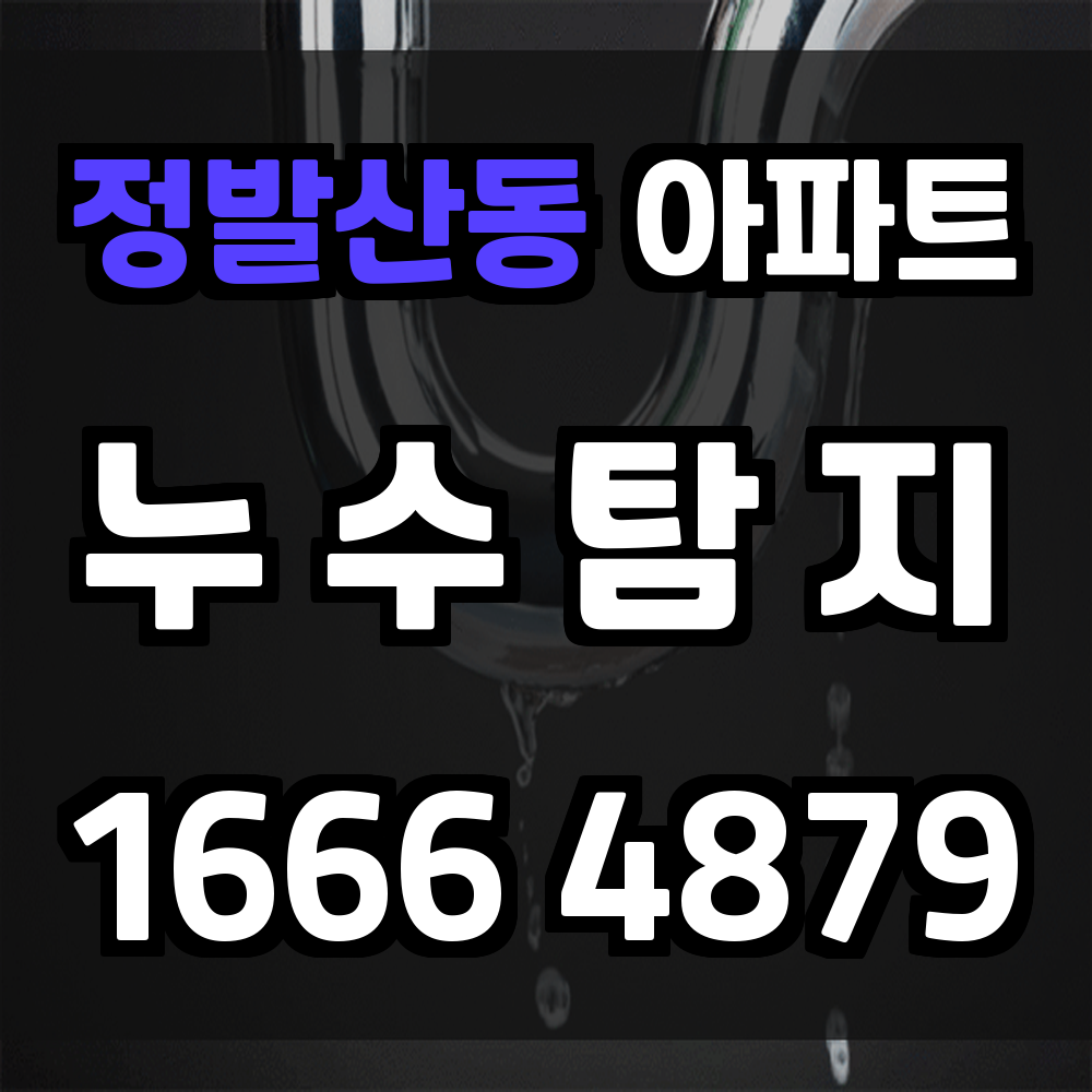 정발산동 아파트 누수탐지 정확하고 빠른 비파괴 진단 서비스