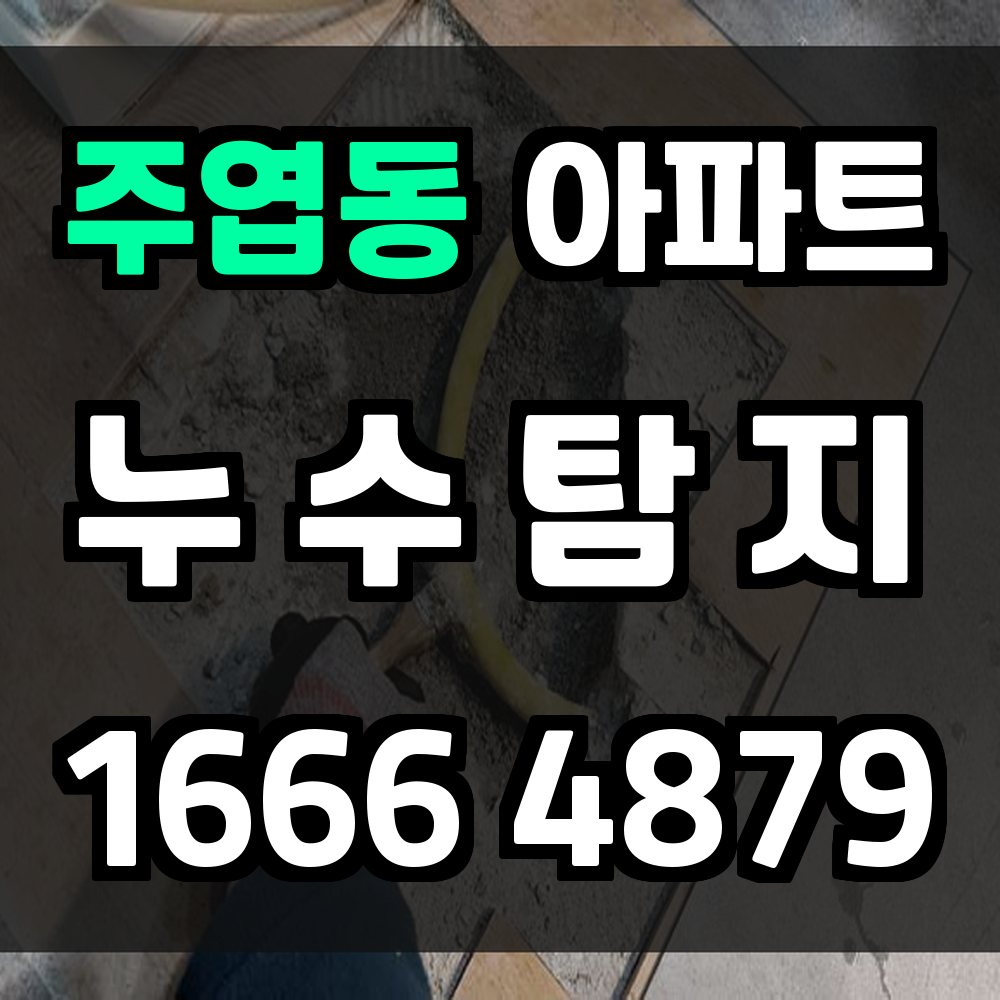 주엽동 아파트 누수탐지 빠르고 깔끔한 비파괴 점검 서비스