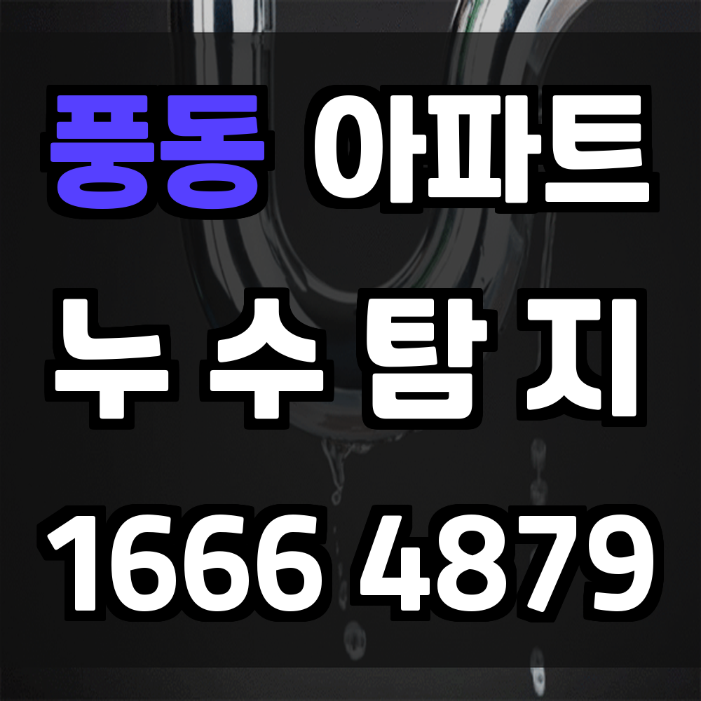 풍동 아파트 누수탐지 실시간 탐색 장비로 누수 원인 정확히 진단