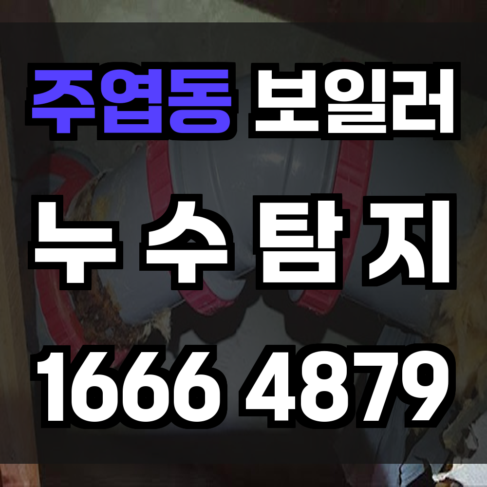 주엽동 보일러 누수탐지 전문가의 정확한 점검과 신속 대응
