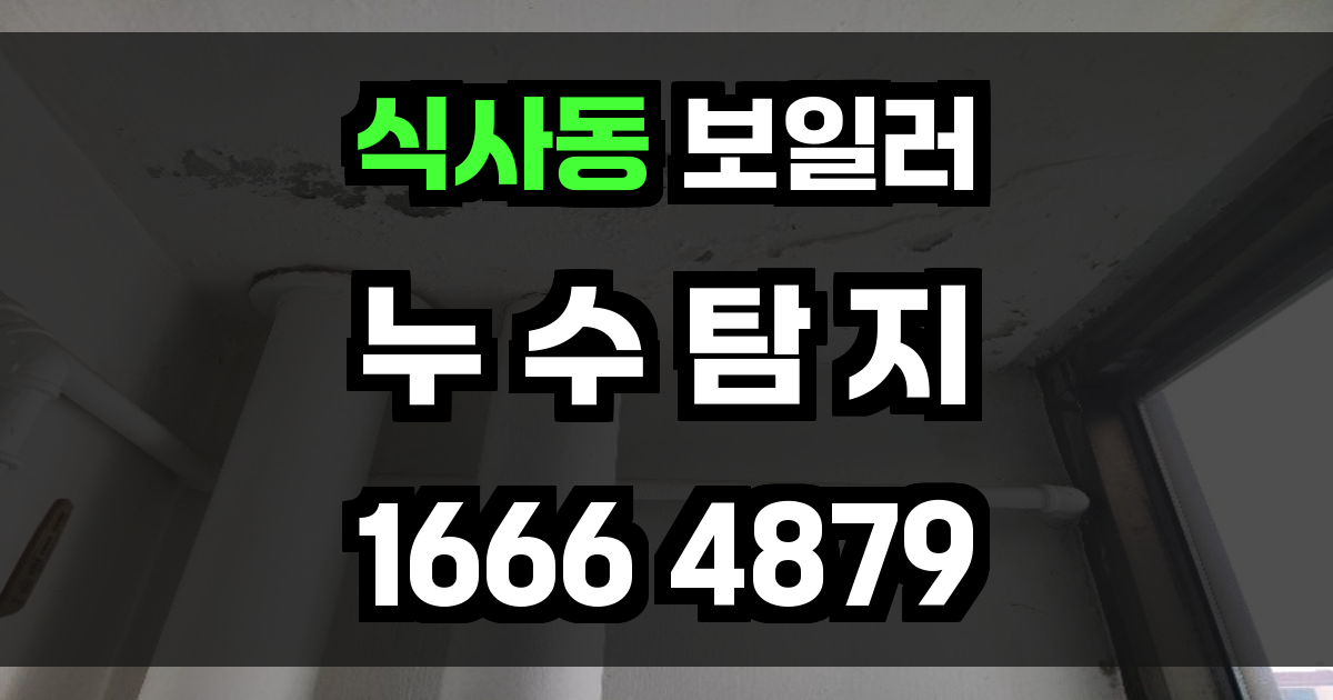식사동 보일러 누수