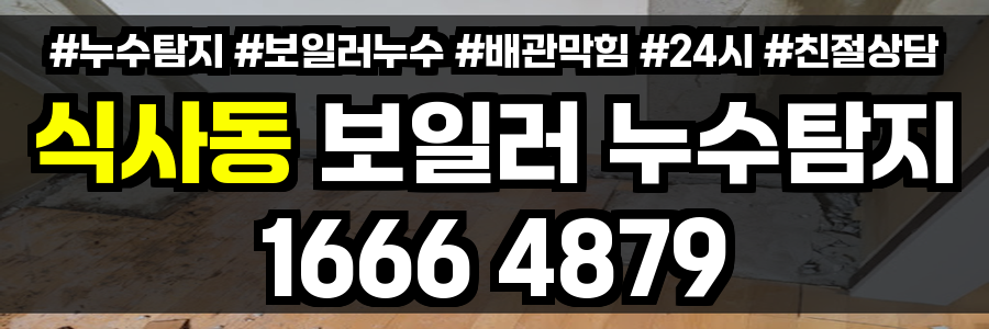 식사동 보일러 누수