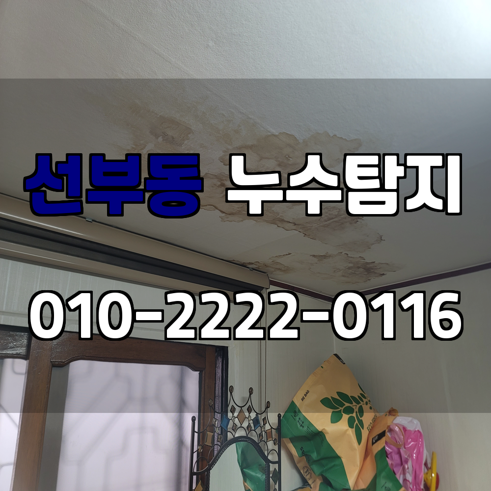 선부동 누수탐지 서비스 지역