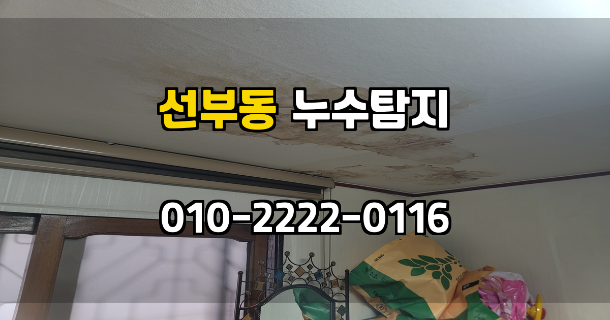 선부동 누수탐지