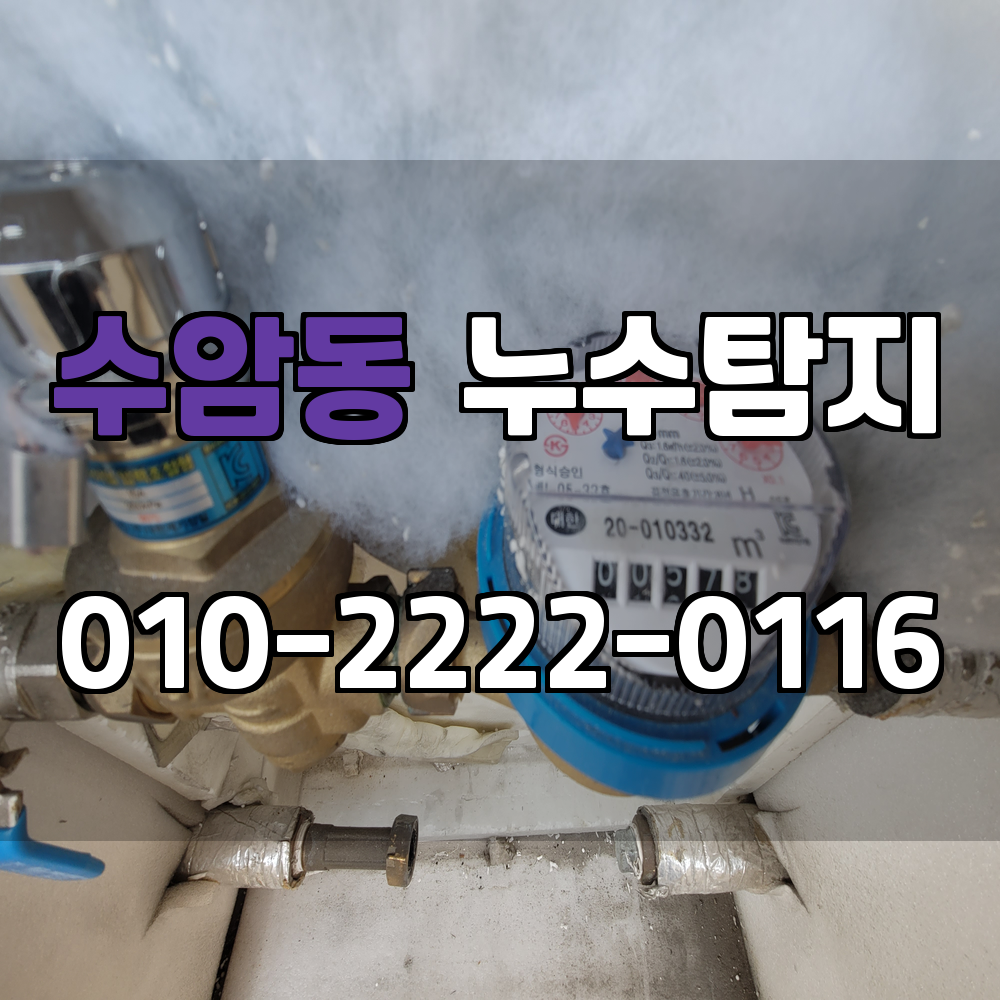 수암동 누수탐지 서비스 지역