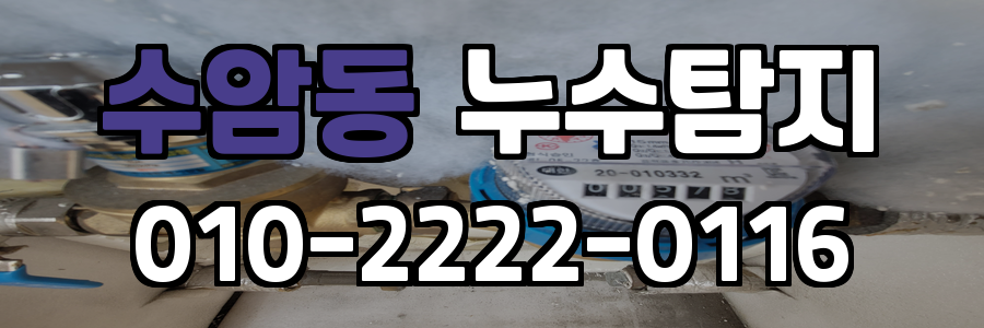 수암동 누수탐지 비용