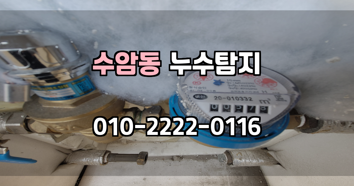 수암동 누수탐지