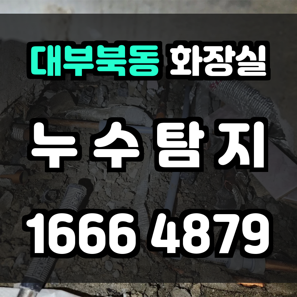 대부북동 화장실 누수