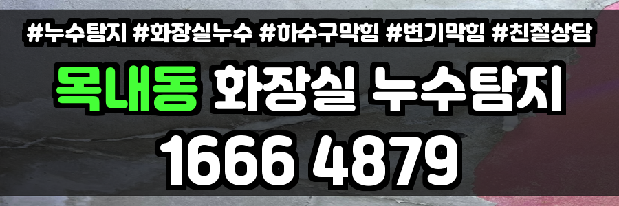 목내동 화장실 누수