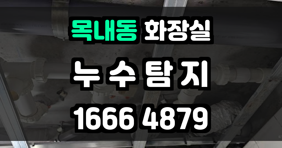 목내동 화장실 누수