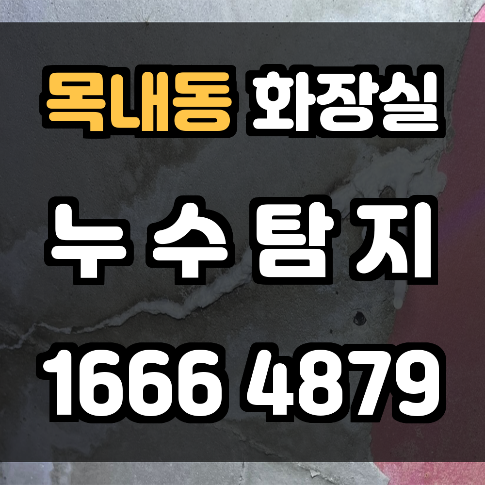 목내동 화장실 누수