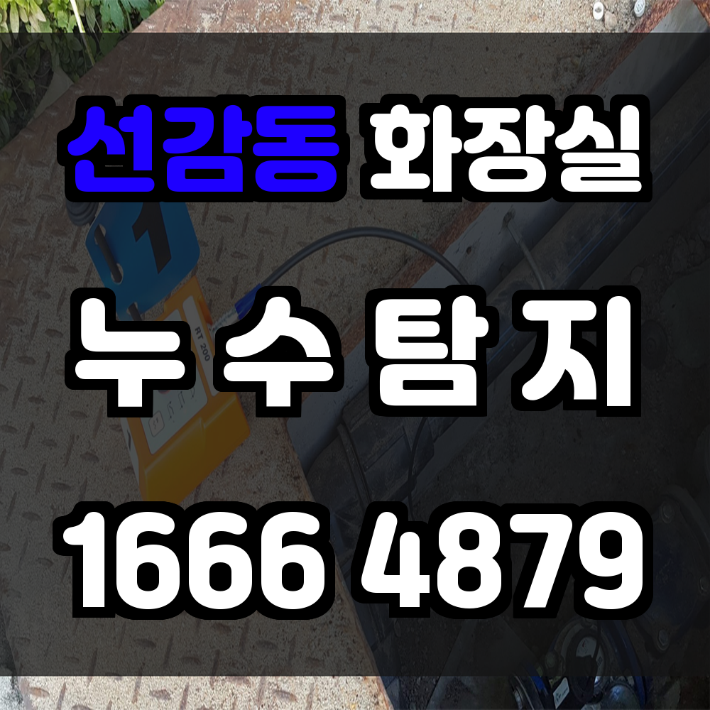 선감동 화장실 누수