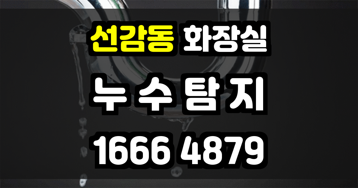 선감동 화장실 누수