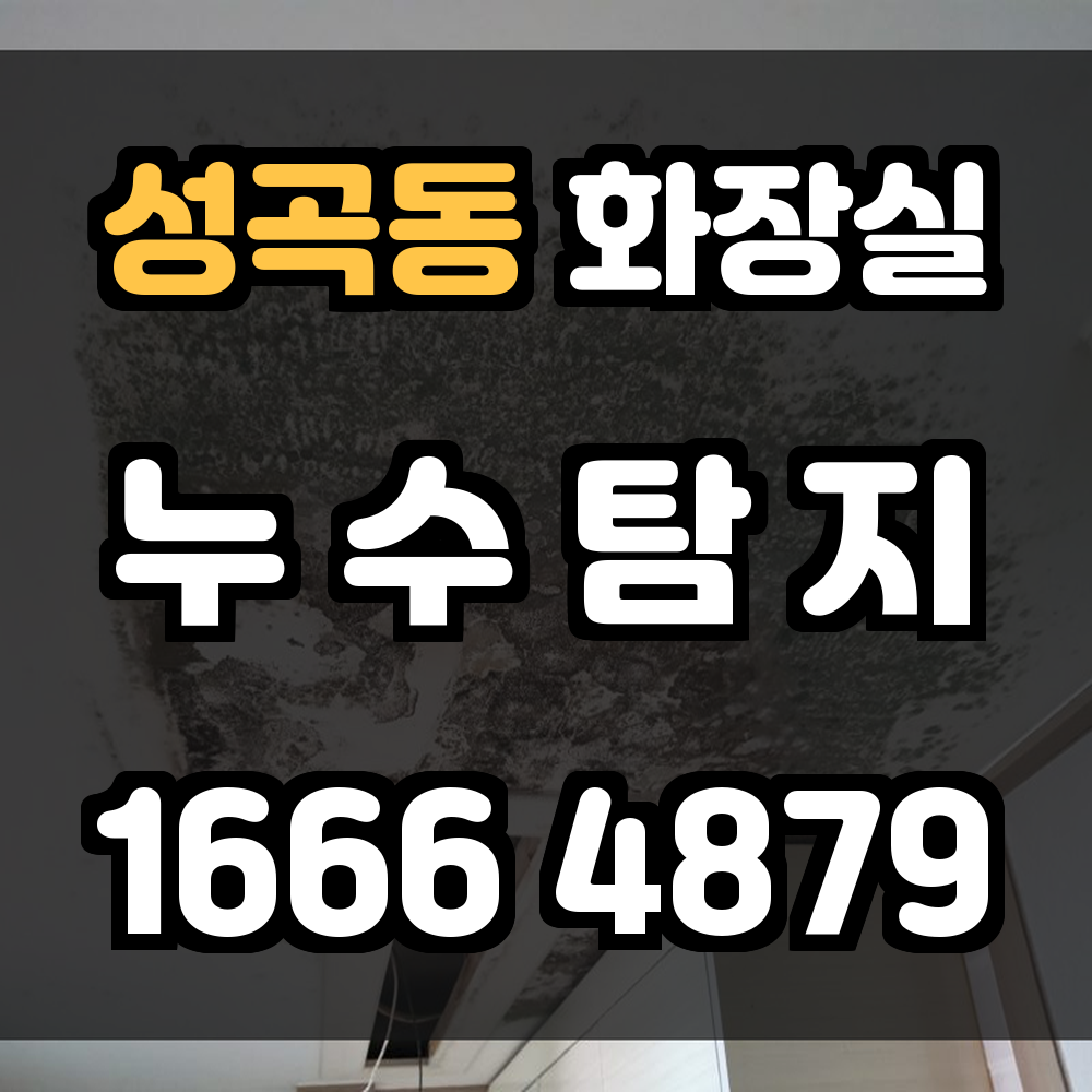 성곡동 화장실 누수
