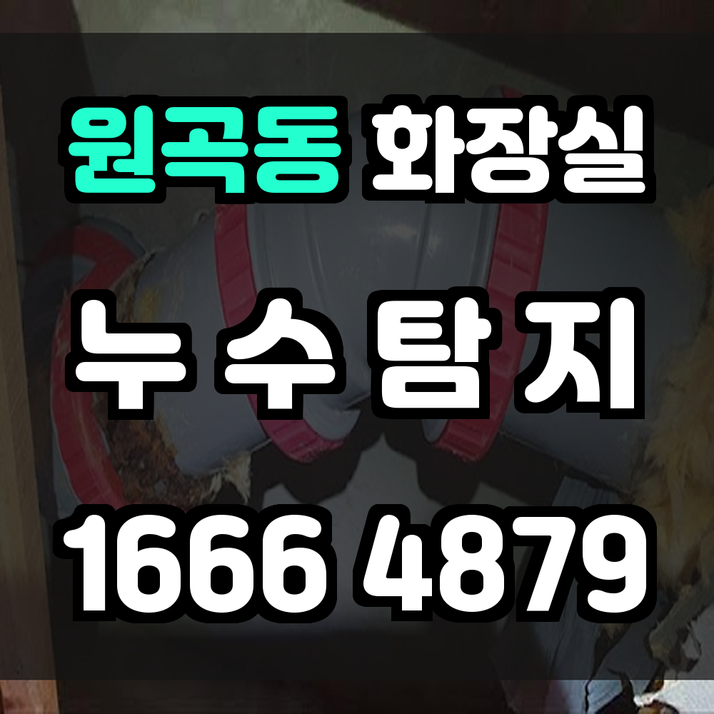원곡동 화장실 누수탐지 보이지 않는 문제도 정확히 진단