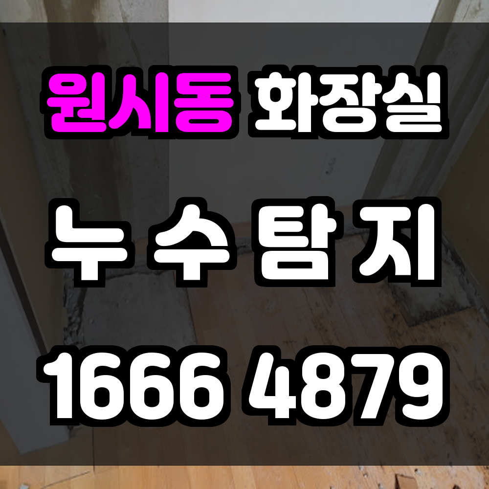 원시동 화장실 누수탐지 내부까지 꼼꼼하게 진단하는 전문 서비스