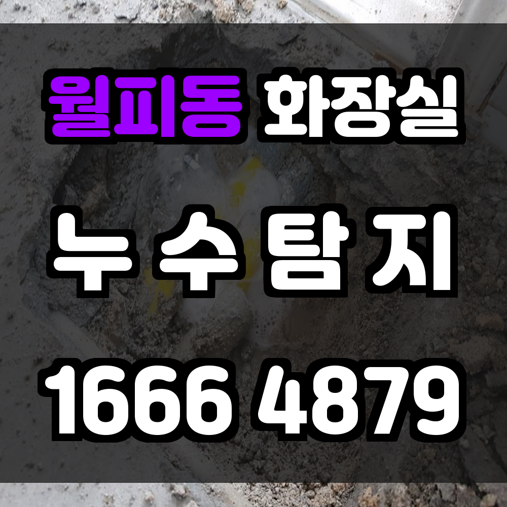 월피동 화장실 누수탐지 눈에 보이지 않는 누수까지 정확 진단