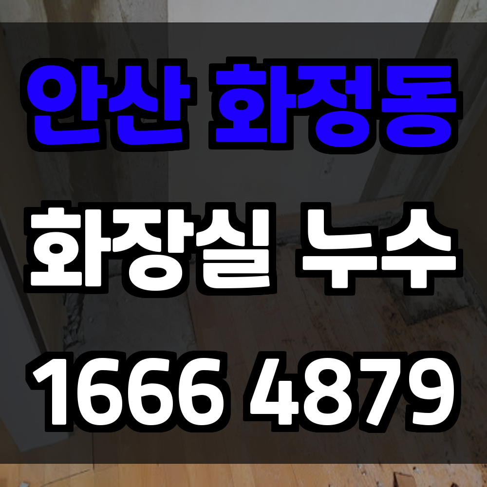 안산 화정동 화장실 누수탐지 미세 수분까지 정확히 진단