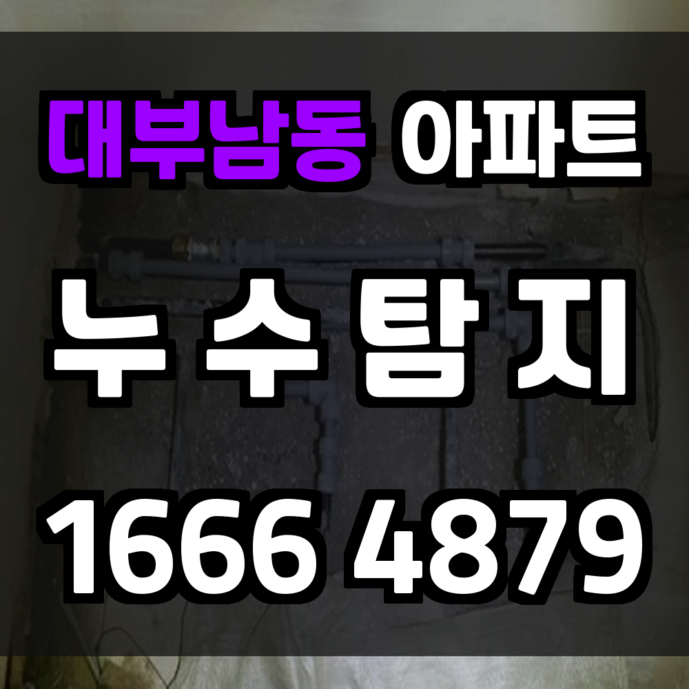대부남동 아파트 누수탐지 꼼꼼한 점검으로 주거 문제 선제 대응