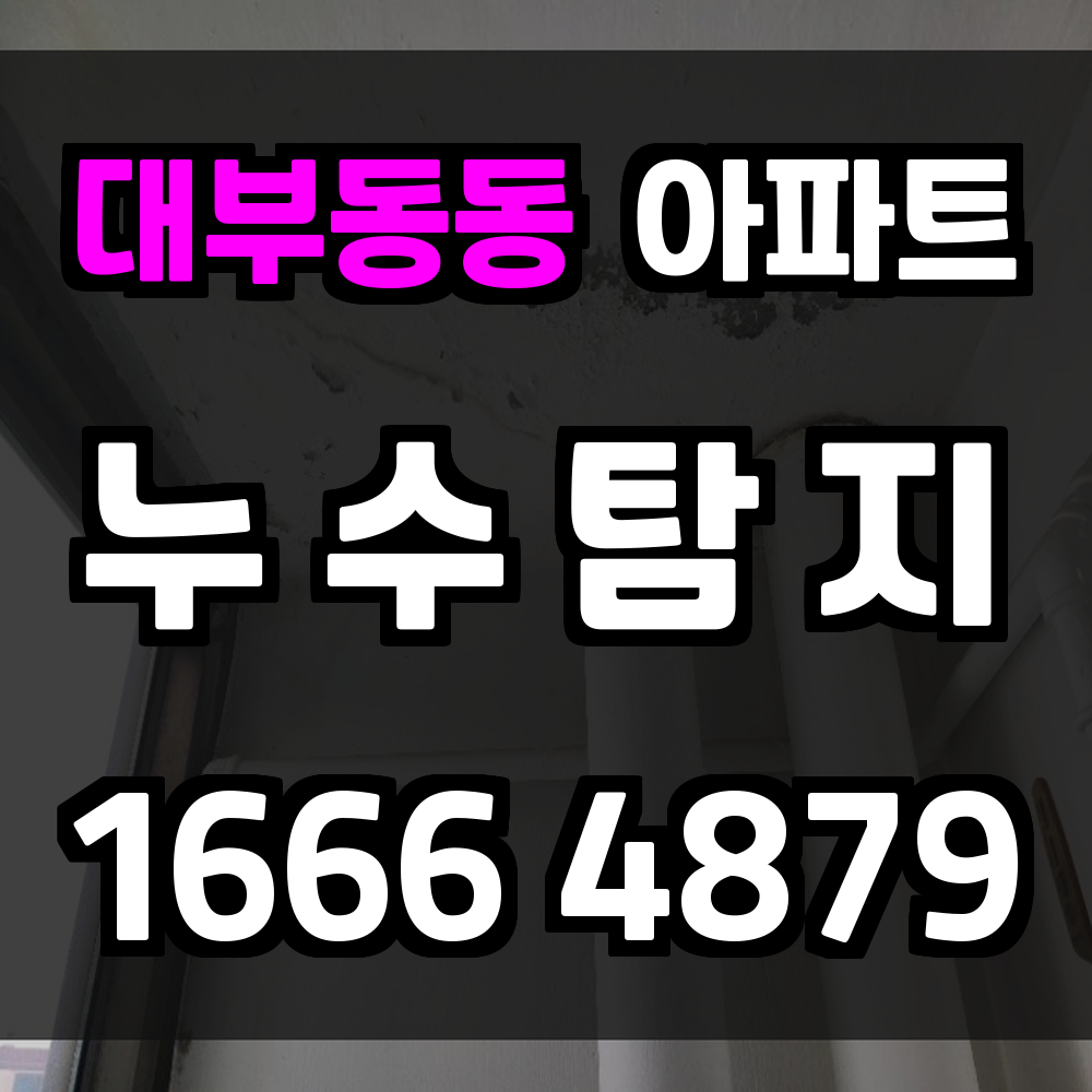 대부동동 아파트 누수탐지 세밀한 점검으로 주거지 보호