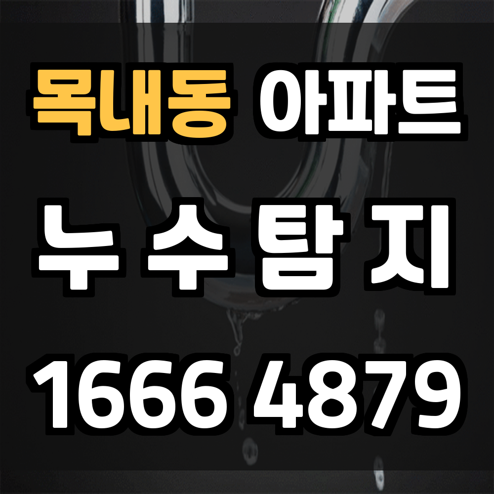 목내동 아파트 누수탐지 미리 발견해 구조물 손상 예방하세요