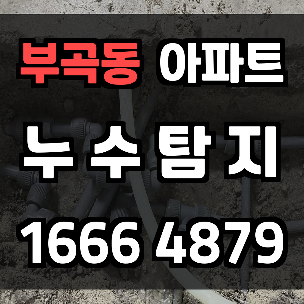 부곡동 아파트 누수탐지 정확한 진단과 신속한 해결