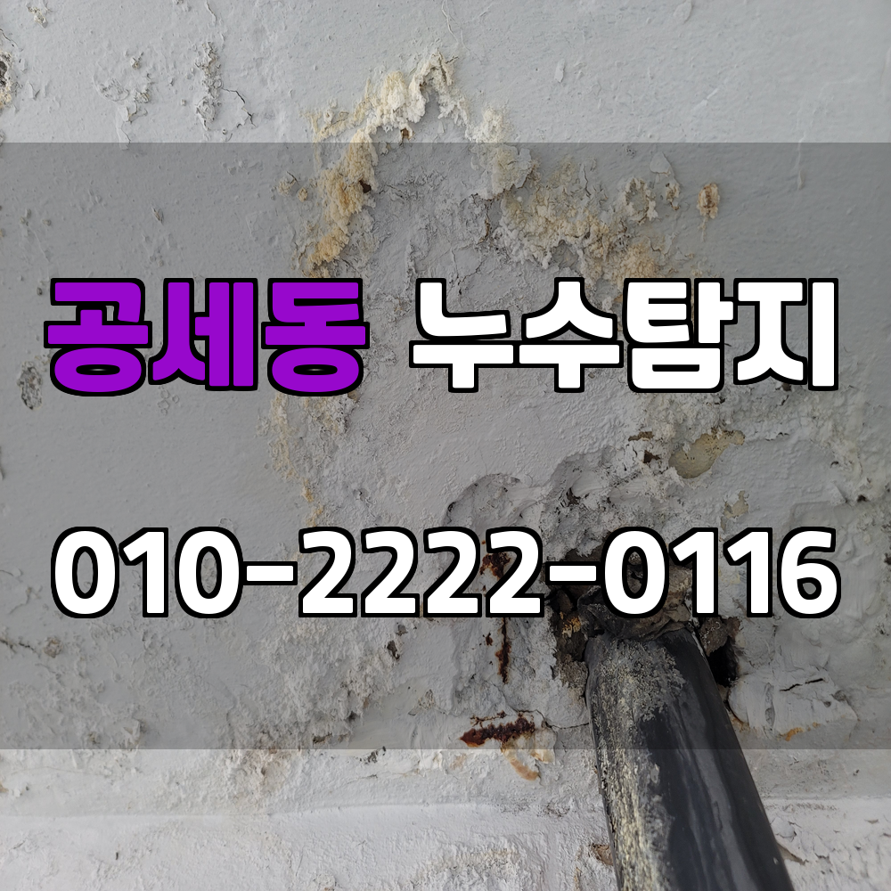 공세동 누수탐지 서비스 지역