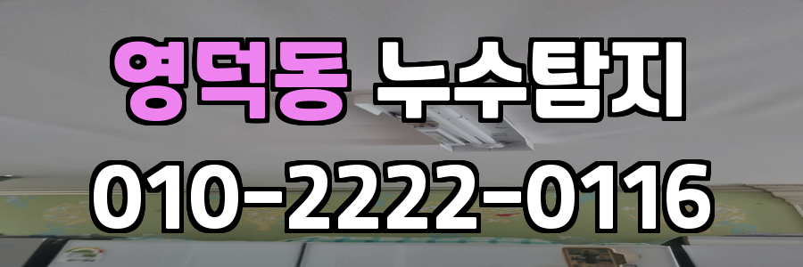 영덕동 누수탐지 비용