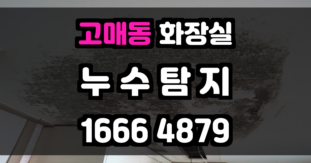 고매동 화장실 누수