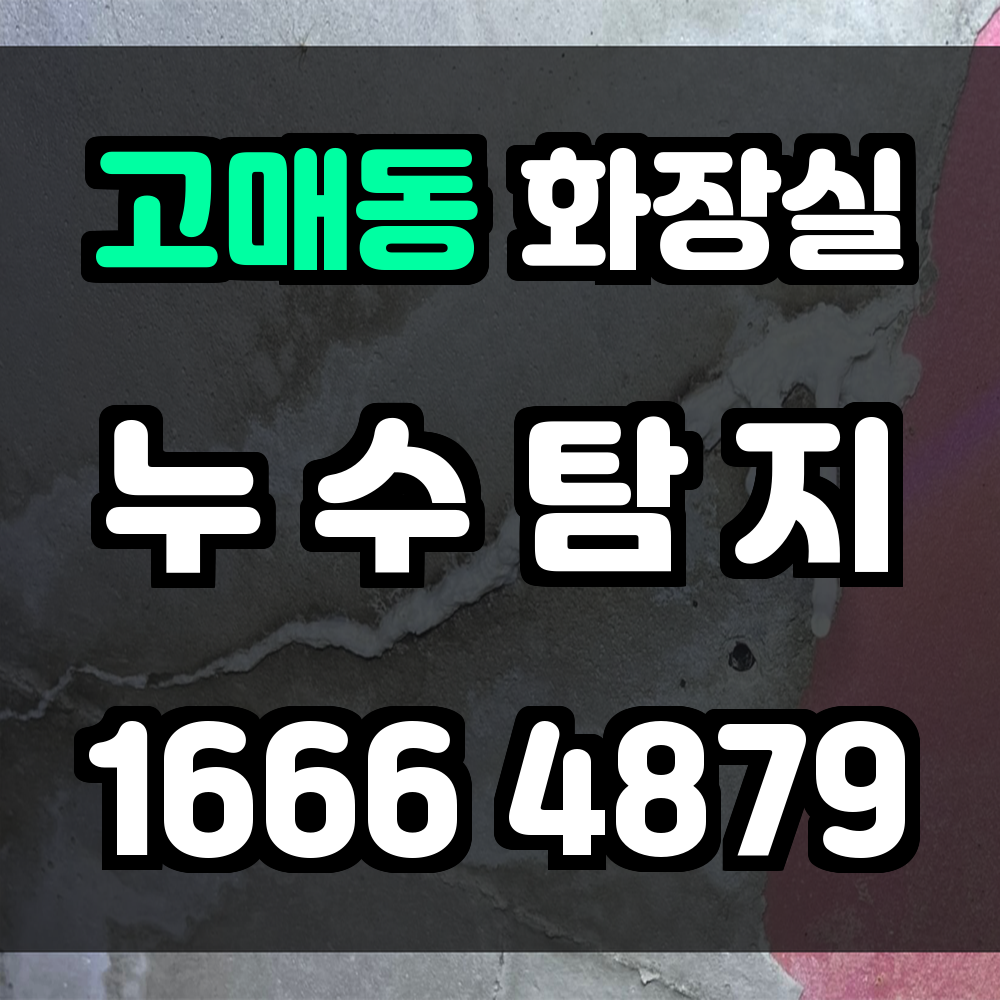 고매동 화장실 누수
